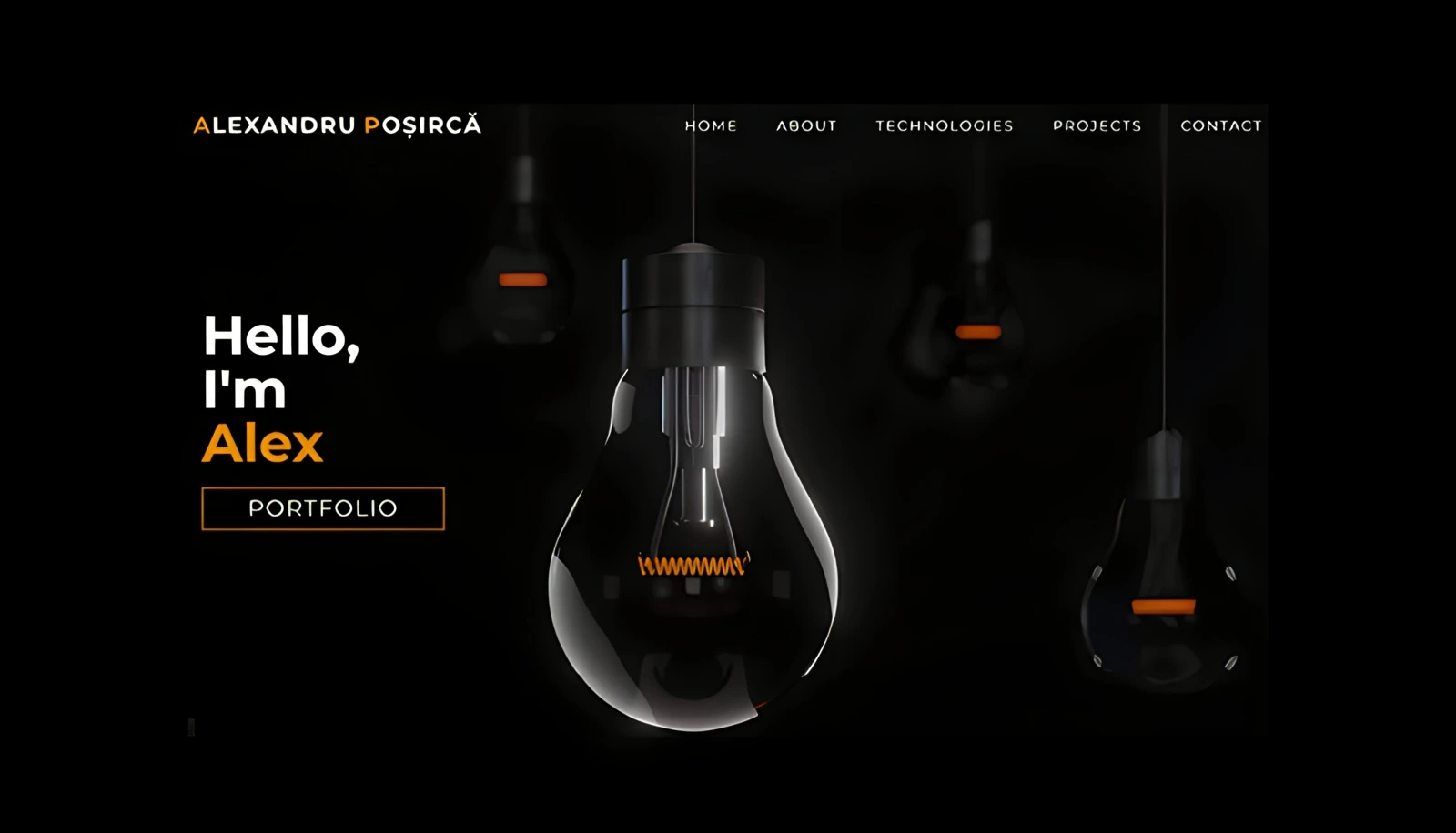 Portfolio project preview